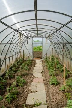 Arched greenhouse Фото