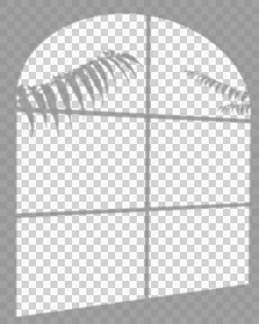 Arched window shadow overlay with fern leaf shadow, natural sunlight effect.. Illustrazione stock