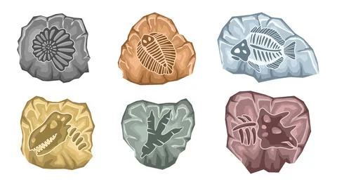 Archeologic fossil dig set Stock Illustration