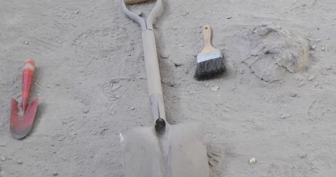 Archeological elements over sandy soil beside fossil of head of dinosaur. Vidéo 95903826