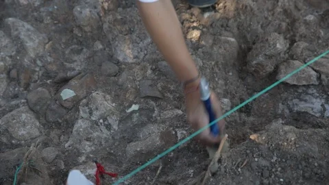 Archeologist excavating  Stock Footage 86996491