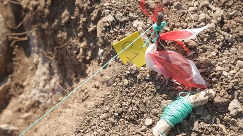 Archeologist excavating  Stock Footage 86996765