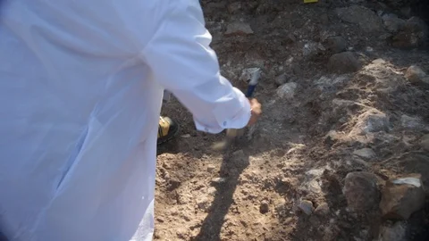 Archeologist excavating  스톡 동영상 86999760