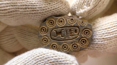 Archeologist inspects ancient authentic Egyptian Scarab hieroglyphic beetle Stock Footage 79937078