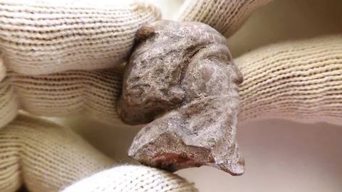 Archeologist inspects tiny ancient authentic clay head Видео 79976929