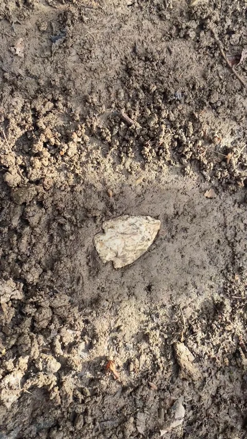 Archeologist unearths spearhead Stock Footage 262472444