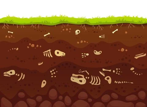 Archeology bones in soil layers. Buried fossil animals, dinosaur skeleton b.. Stock Illustration