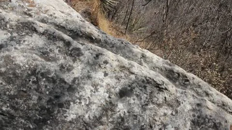 Archeology Video stock 10795154