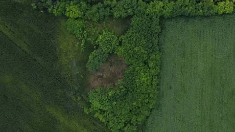 Archeology site in the Field Stock Footage 136348731