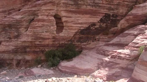 Archeoloical treasure found Video stock 50051072