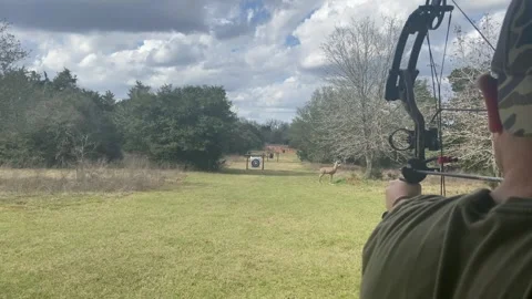 Archer aiming at target in slow controlled motion, precision and focus concept Stock Footage 323886116