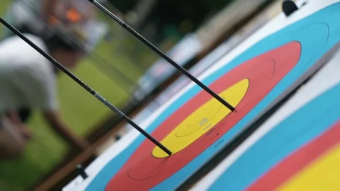 Archer sportsman pulls arrows from the target Stock Footage 274759185