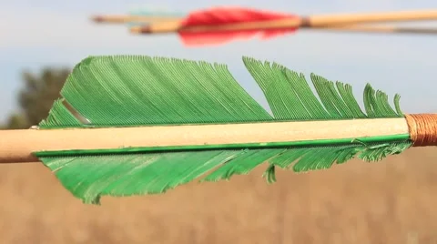 Archery Arrow Feathers at the Wind Stock Footage 61879214