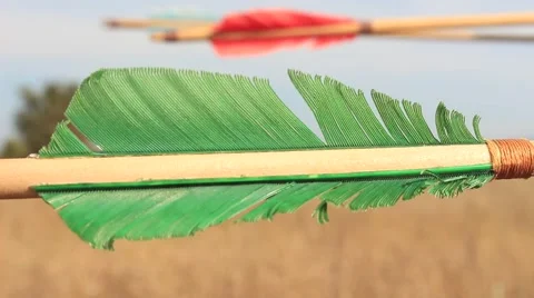 Archery Arrow Feathers at the Wind Stock Footage 61879216