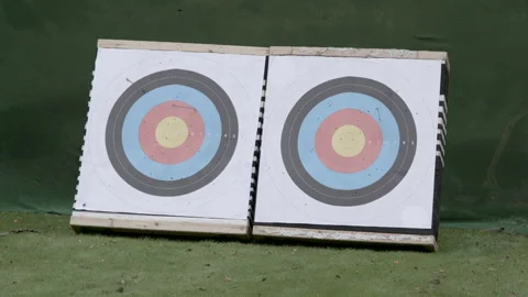 Archery - arrow hit Video stock 237458367