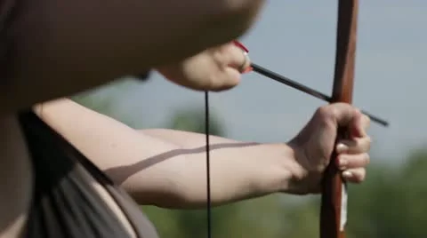 Archery Video stock 12032446
