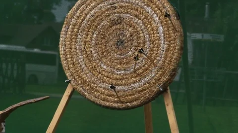 Archery Stock Footage 116799243