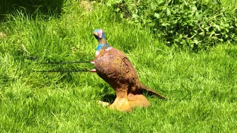 Archery hitting wooden pheasant with bow and arrow, shooting target practice Stock Footage 306713092