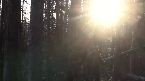 Archery hunter walking through the forest 스톡 동영상 204382740