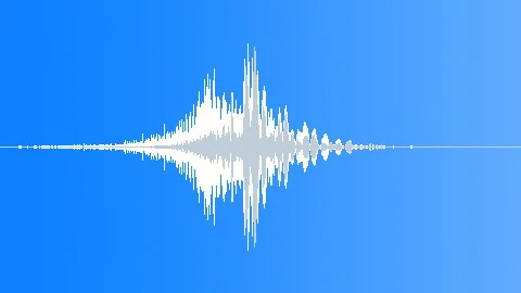 ARCHERY - MEDIEVAL ARROW IMPACT ON FLESH Sound Effect