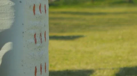 Archery (slow motion) 25 Video stock 22353908