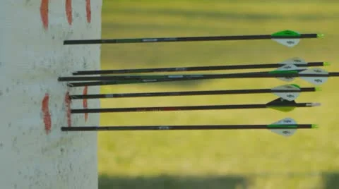 Archery (slow motion) 27 Video stock 22353934