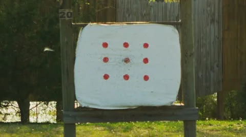 Archery (slow motion) 28 Stock Footage 22353937