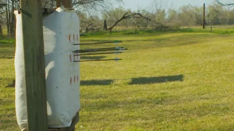 Archery (slow motion) 30 Stock Footage 22354024