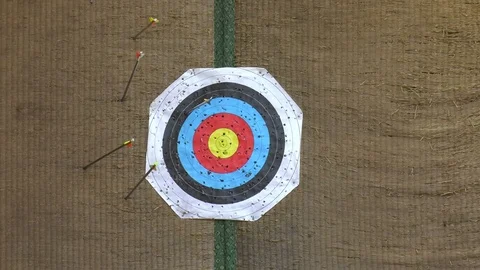 Archery target with arrow missing Stock Footage 82278521