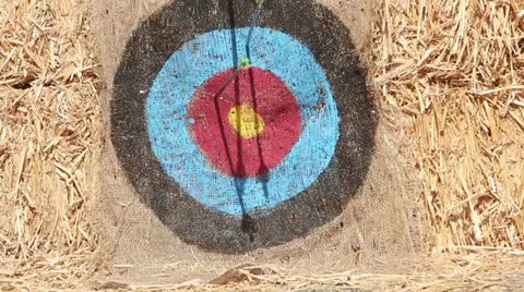 Archery Target Stock Footage 11059689