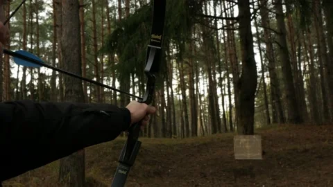 Archery target shooting 스톡 동영상 220906356