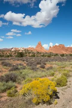 Arches NP Stock Photos