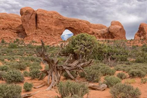 Arches of Red Rock. Stock Photos