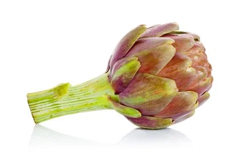 Archichockes Stock Photos