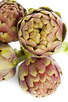 Archichockes Stock Photos