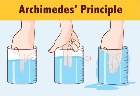 Archimedes' Principle vector illustration Illustration