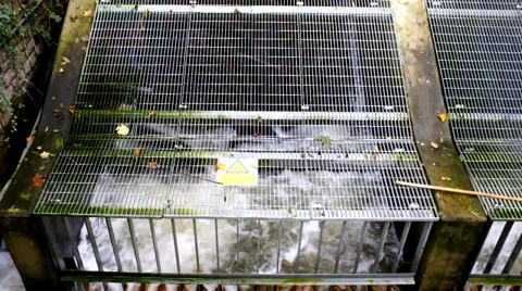 Archimedes screw pump Stock Footage 35894478