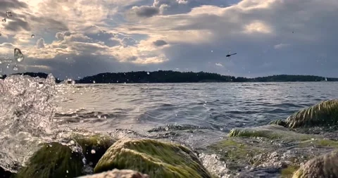 Archipelago water splash featuring our friend the helicopter mosquito Stock Footage 134052755
