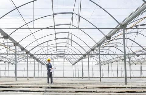 Architect with blueprint in empty greenhouse Stock Photos