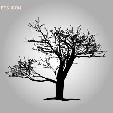 Architectonics of the crown of Norway maple. The structure of the tree branch 스톡 일러스트