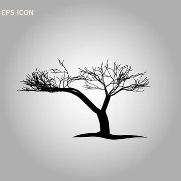 Architectonics of the crown of Norway maple. The structure of the tree branch Stock Illustration