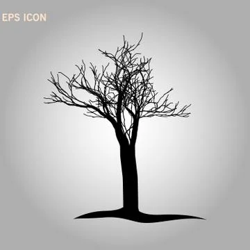Architectonics of the crown of Norway maple. The structure of the tree branch 스톡 일러스트