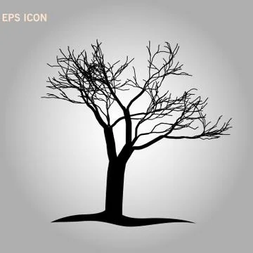 Architectonics of the crown of Norway maple. The structure of the tree branch Stock Illustration