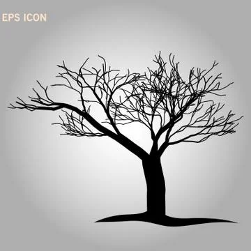 Architectonics of the crown of Norway maple. The structure of the tree branch 스톡 일러스트