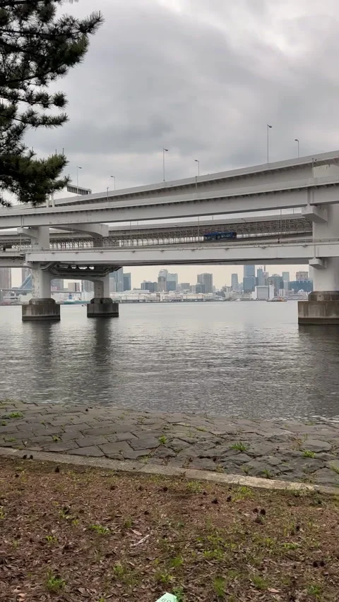 An architectural bridge captured from beneath a tree canopy, Stock Footage 314113456