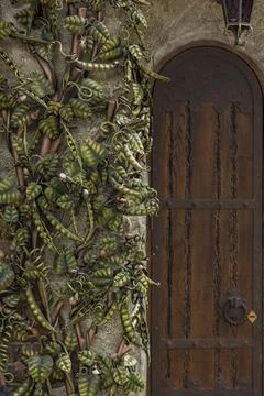 Architectural elements of the wall. Close-up background. A metal element. Stock Photos