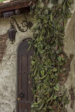 Architectural elements of the wall. Close-up background. A metal element. Foto stock