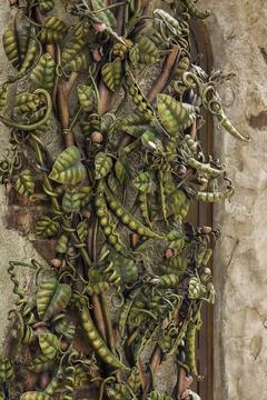 Architectural elements of the wall. Close-up background. A metal element. Foto stock