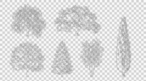 Architectural elevation view of six tree species isolated on transparent Stock Illustration