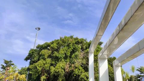 Architectural Frame with Green Tree and Blue Sky Fotos Stock